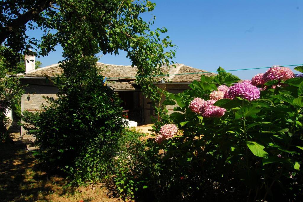 Archontiko Iatridis Hotel Mourésion Buitenkant foto