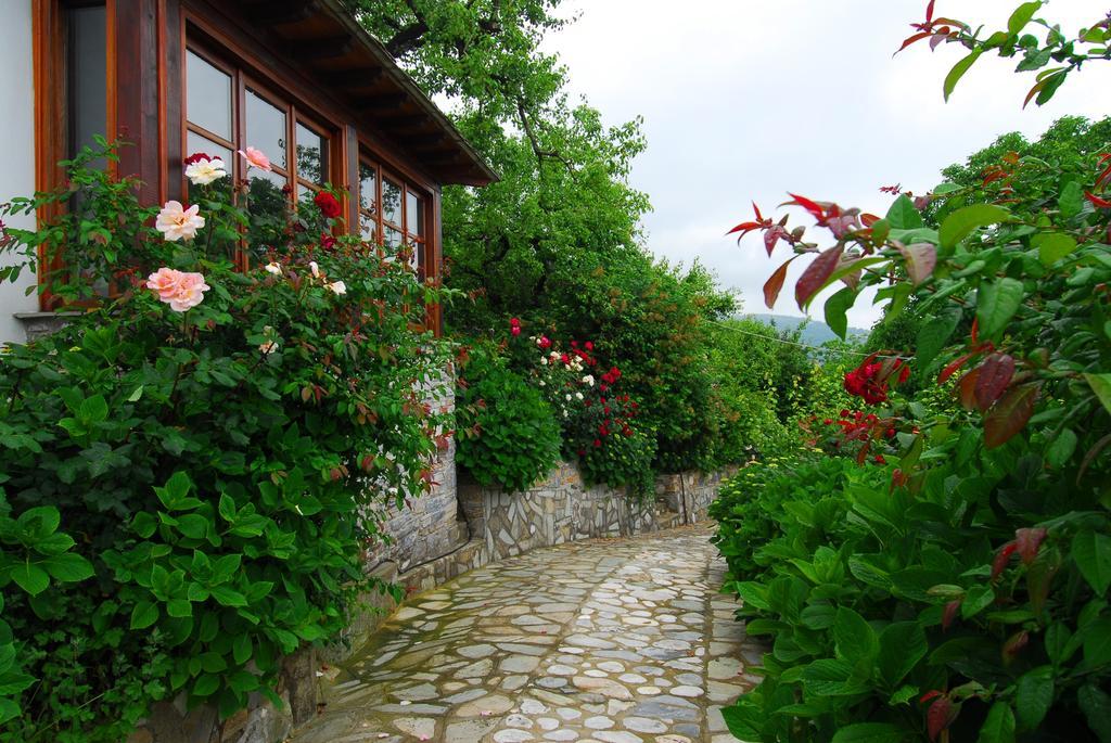 Archontiko Iatridis Hotel Mourésion Buitenkant foto