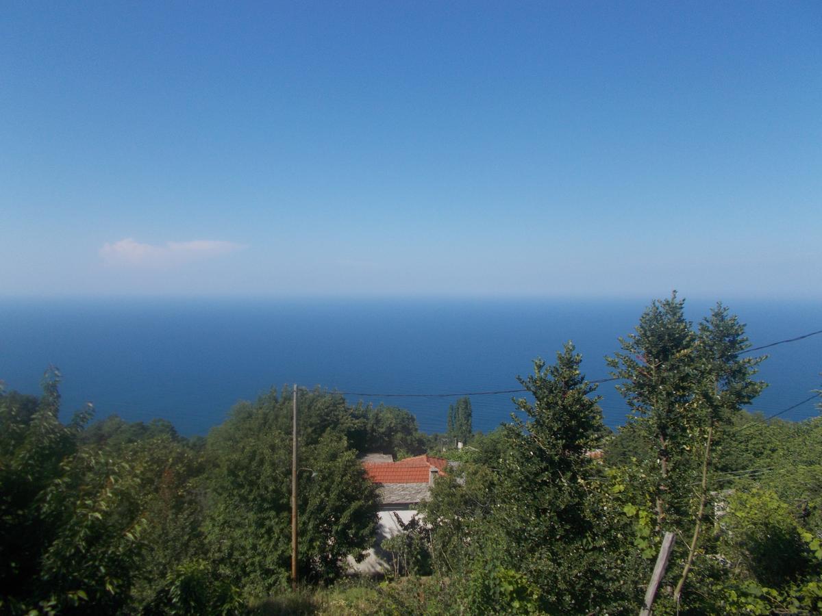 Archontiko Iatridis Hotel Mourésion Buitenkant foto